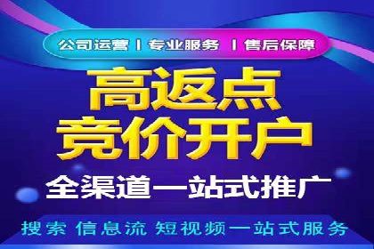 行业领先企业的信息流广告投放策略